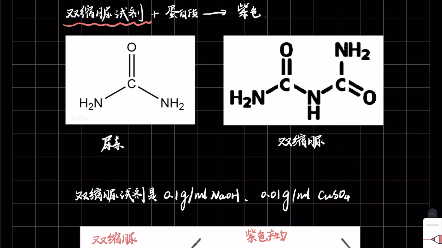 双缩脲试剂和双缩脲的区别?两字之差意义完全不同!!哔哩哔哩bilibili