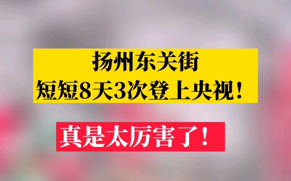 扬州东关街短短8天3次登上央视!哔哩哔哩bilibili