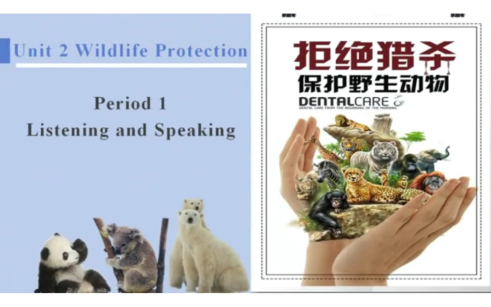 [图]新人教版高中英语必修二unit2听说课件  unit2 wildlife protectionperiod 1 listening and speaking