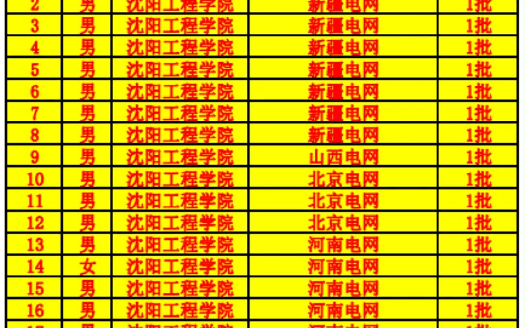 沈阳工程学院入职电网情况统计表哔哩哔哩bilibili