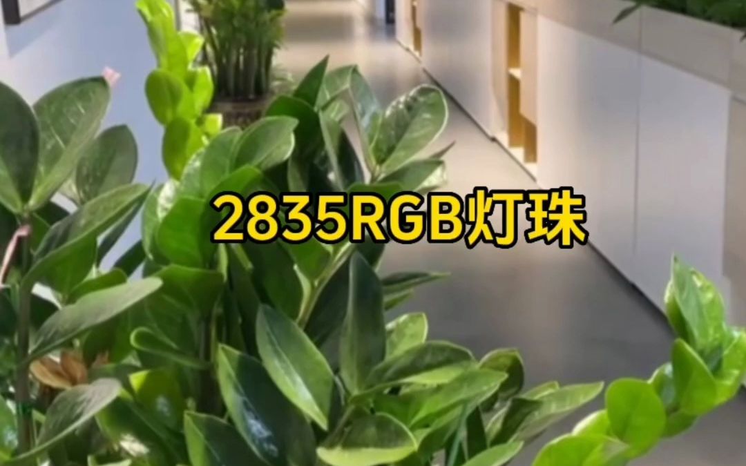 2835RGB灯珠, 波段齐全,多功率可选哔哩哔哩bilibili