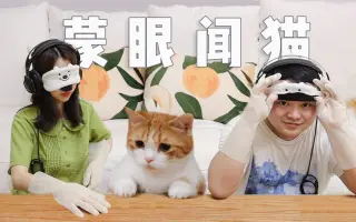 男朋友与猫 搜索结果 哔哩哔哩 Bilibili