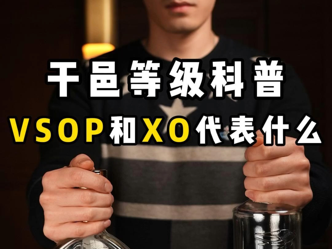 VSOP,XO傻傻分不清,干邑白兰地入门必看哔哩哔哩bilibili