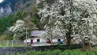 Скачать видео: 深山农村发现一处房子，风景优美，却无人居