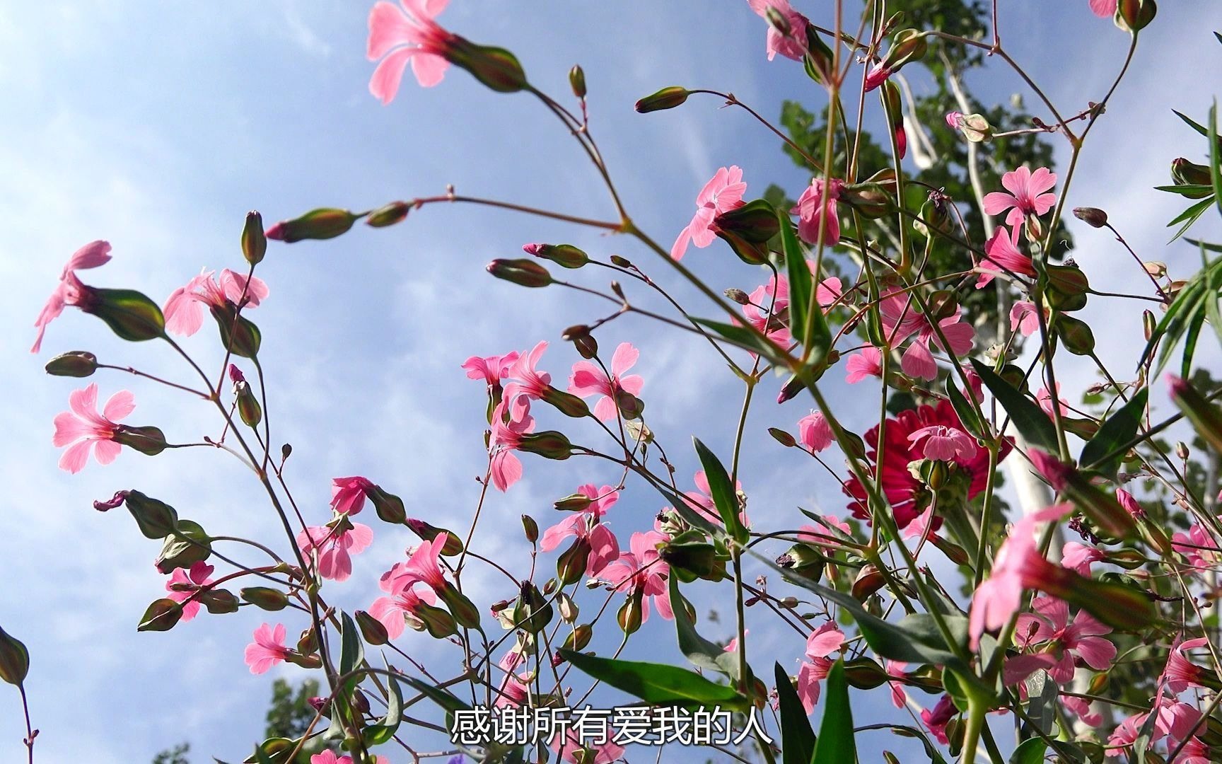 [图]双节来临之际感谢所有爱我的人和我所爱的人！祝你们节日快乐！