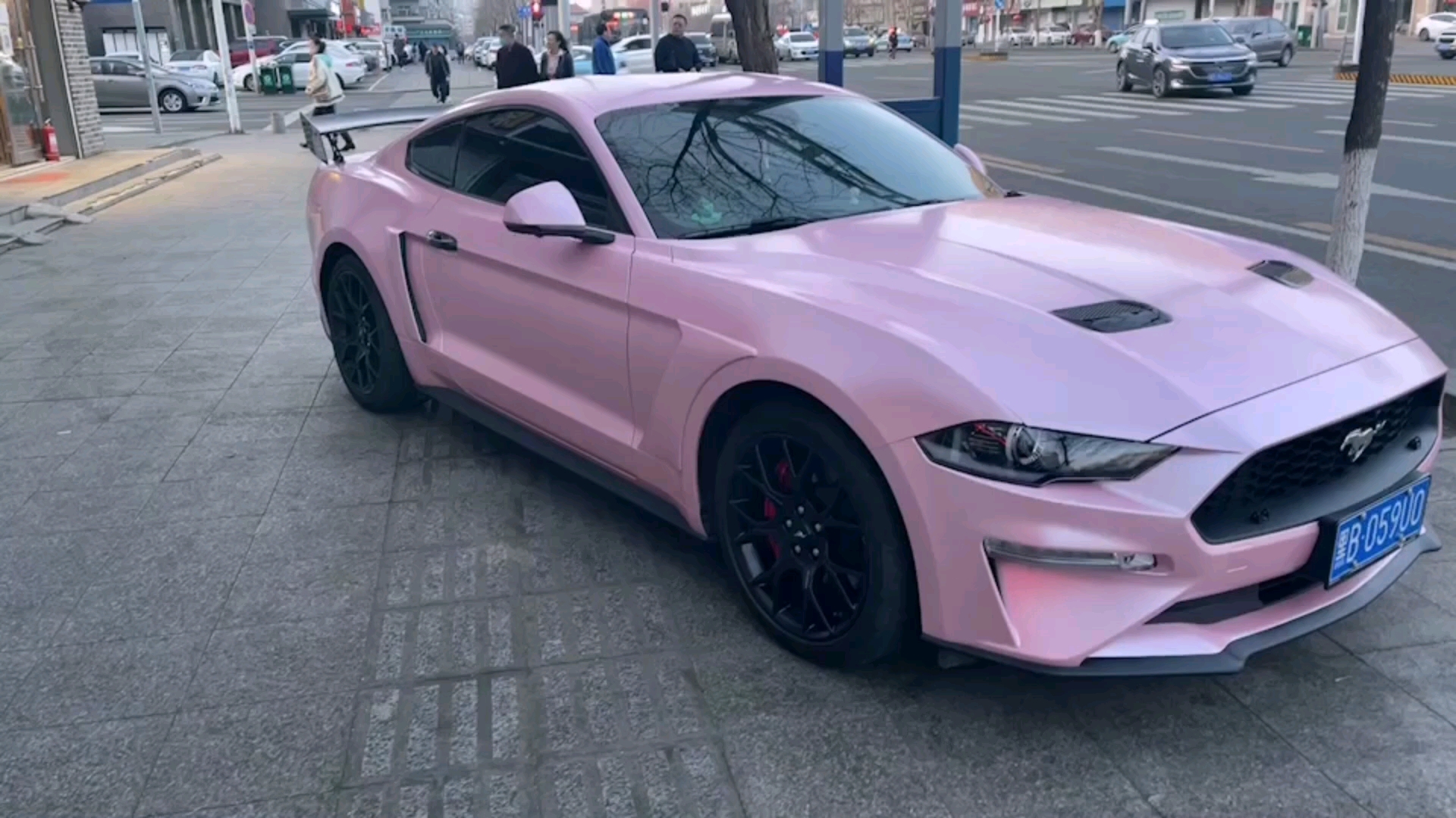 野马色系之猛男粉,小姐姐的最爱?