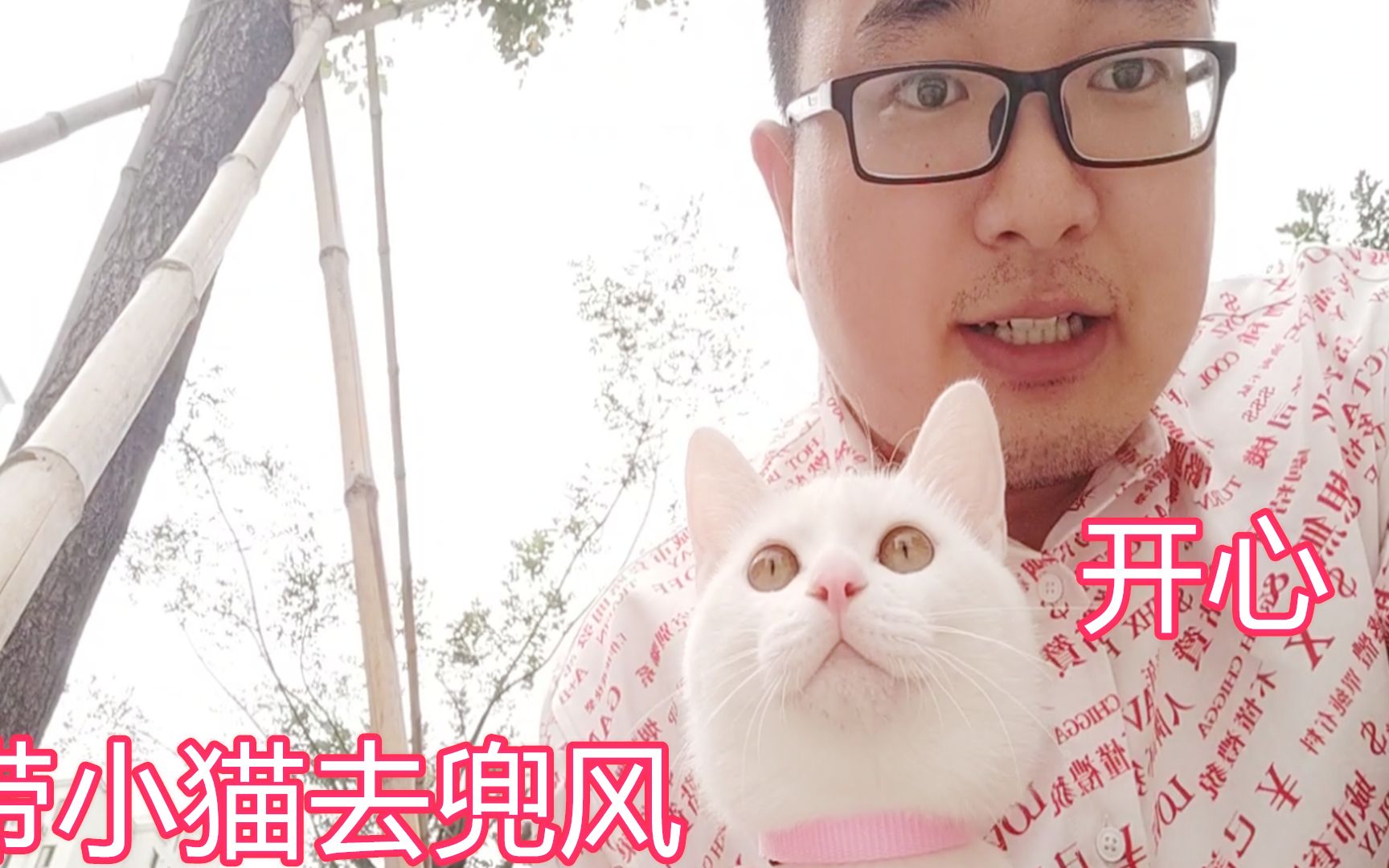 猫狗大战,事实证明一般的狗都是怕小猫的,因为小猫会哈气哔哩哔哩bilibili