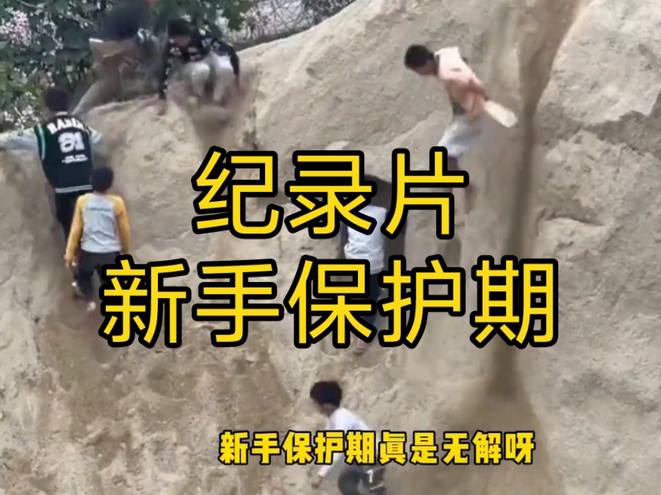 大型纪录片《新手保护期》震撼上线!