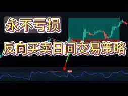 Download Video: 【永不亏损】反向买卖日间交易策略