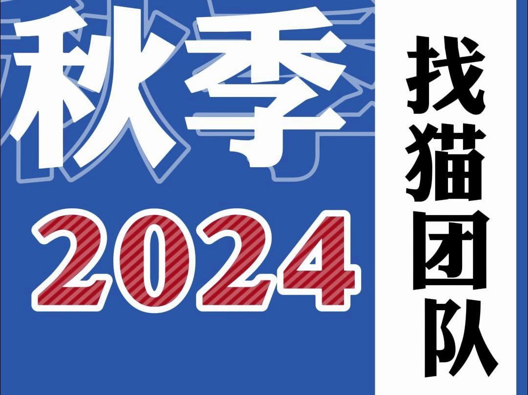 专业找猫团队价格 靠谱吗 铲屎官请保存哔哩哔哩bilibili