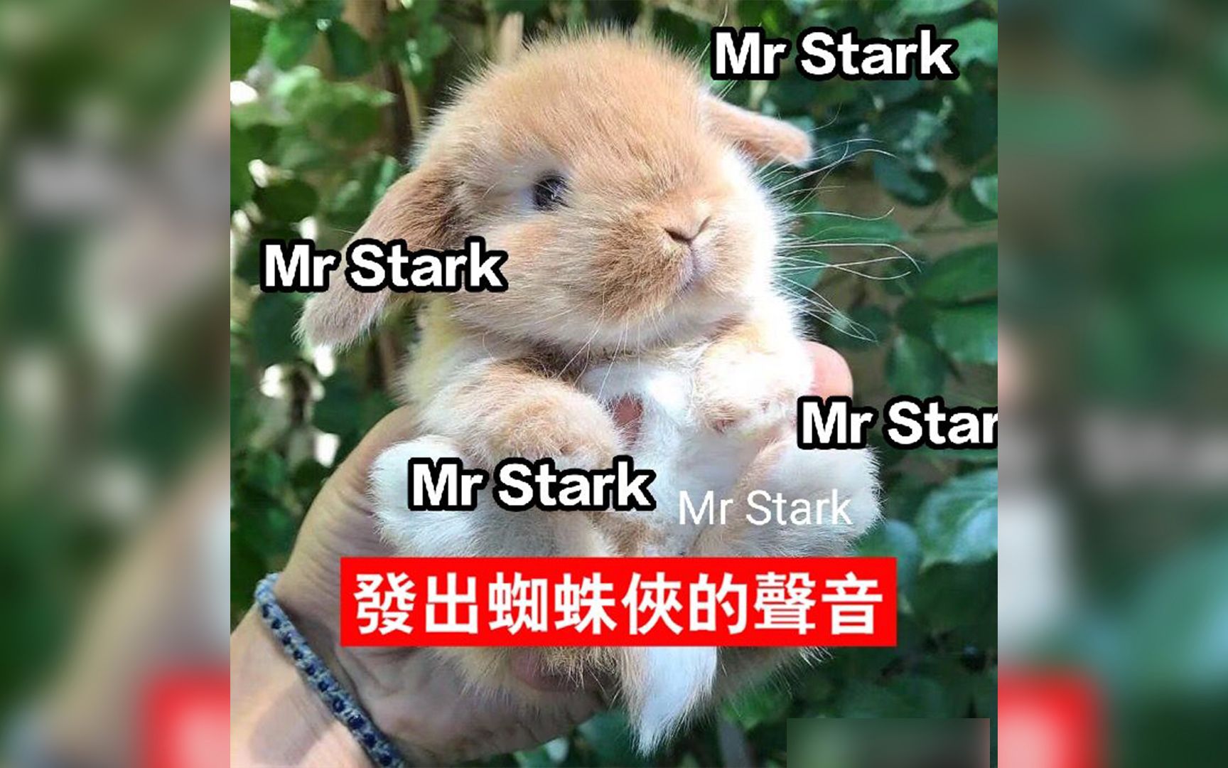 [图]【铁虫】31次叫他Mr.Stark，1次叫他Tony