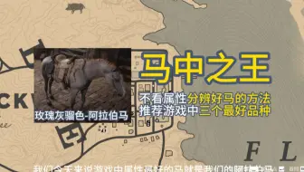 大镖客2-马中之王（属性最好的马，辨别好马的方法，最好的三个品种