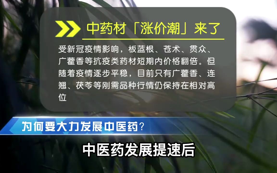 中医药首次挤入世界500强,为何要大力发展中医药?哔哩哔哩bilibili