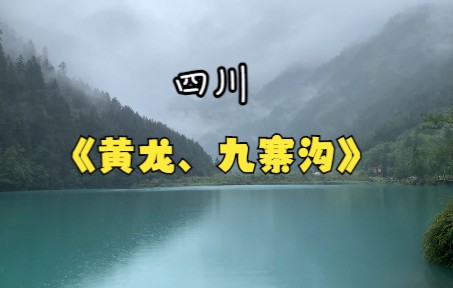 四川黄龙.九寨沟游记片段哔哩哔哩bilibili