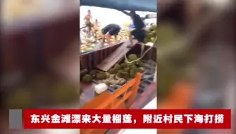 Download Video: 海上飘来大量榴莲，上百人哄抢食用！结果出事了