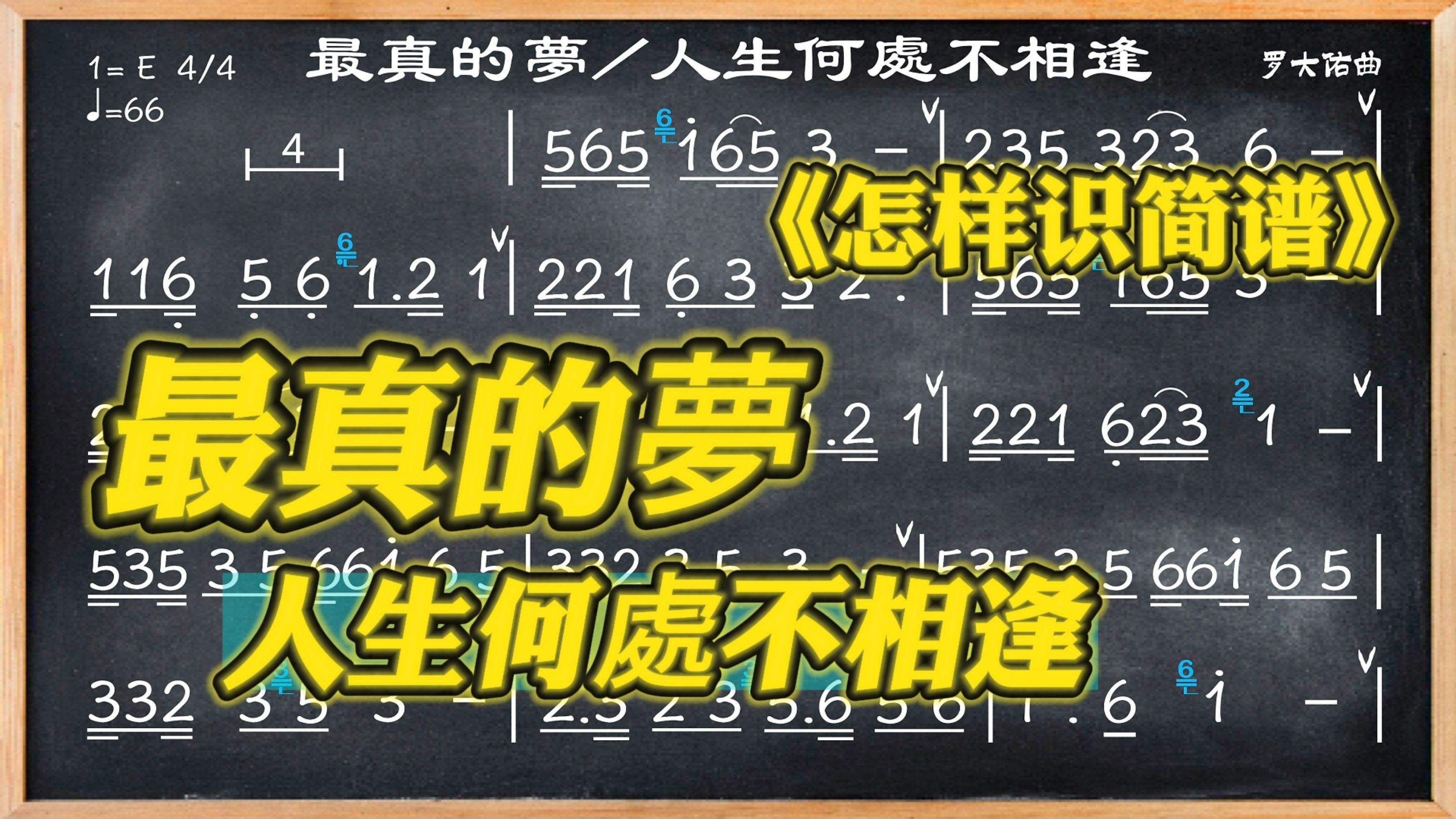 082.学简谱《最真的梦/人生何处不相逢》二度与三度的组合哔哩哔哩bilibili