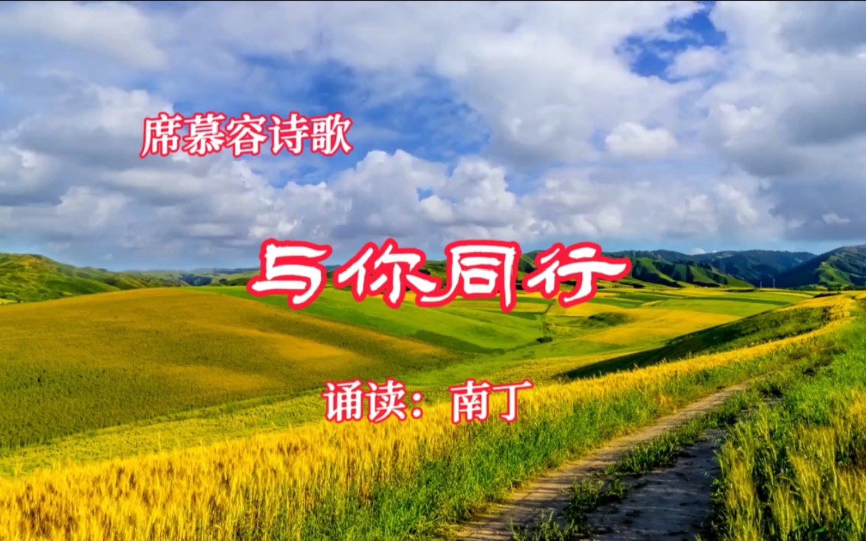 席慕容诗歌《与你同行》诵读:南丁