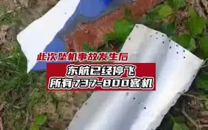 Tải video: 东航已停飞所有737-800客机！发现客机残骸和碎片！记者现场直击→