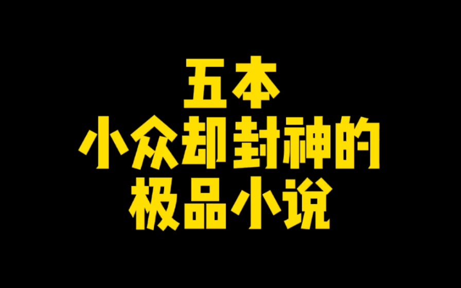 五本小众却封神的极品小说,每一本都是同类型天花板,看了绝不后悔哔哩哔哩bilibili