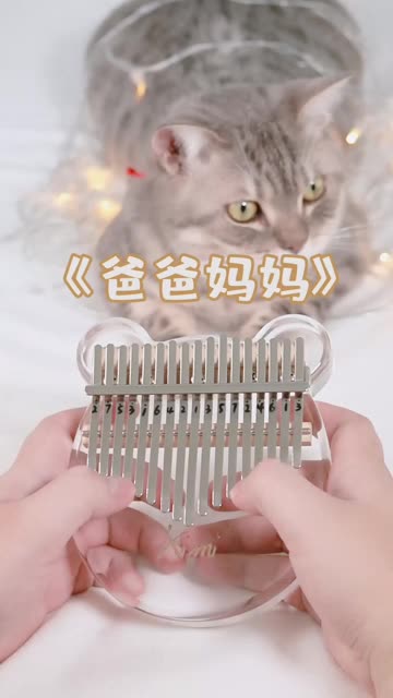 用拇指琴弹《爸爸妈妈》给爸爸妈妈听,对不起,你们求了好几天才做好