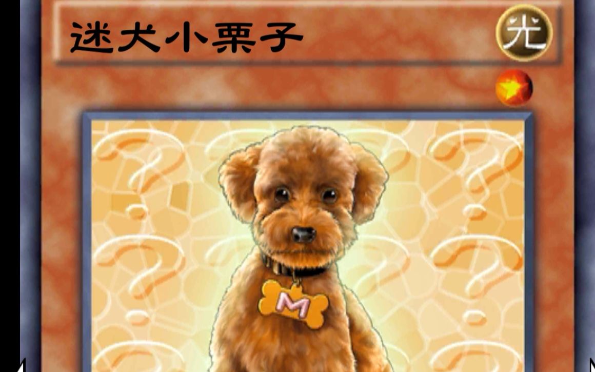 活動作品遊戲王決鬥鏈接可循環的儀式素材迷犬小栗子