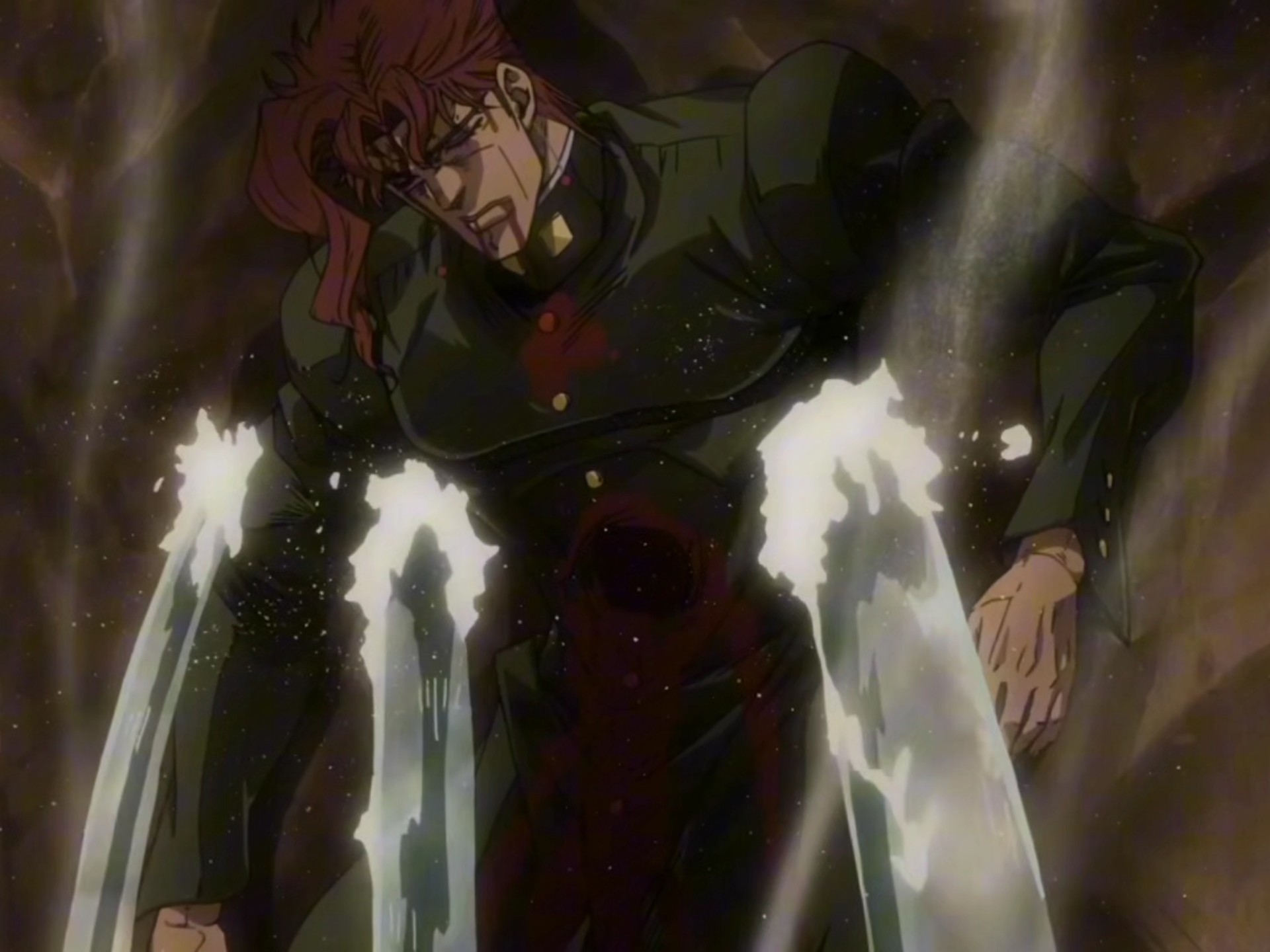 再见了…花京院