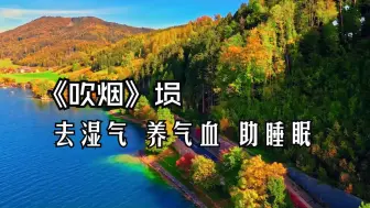 Video herunterladen: 土音入脾 去湿气养气血 助睡眠  养神气 安稳身心,旺盛食欲,湿气重、肥胖、身体沉重、乏力可常听《吹烟》埙 放松减压疗愈冥想 助眠保养精神 凝神静心