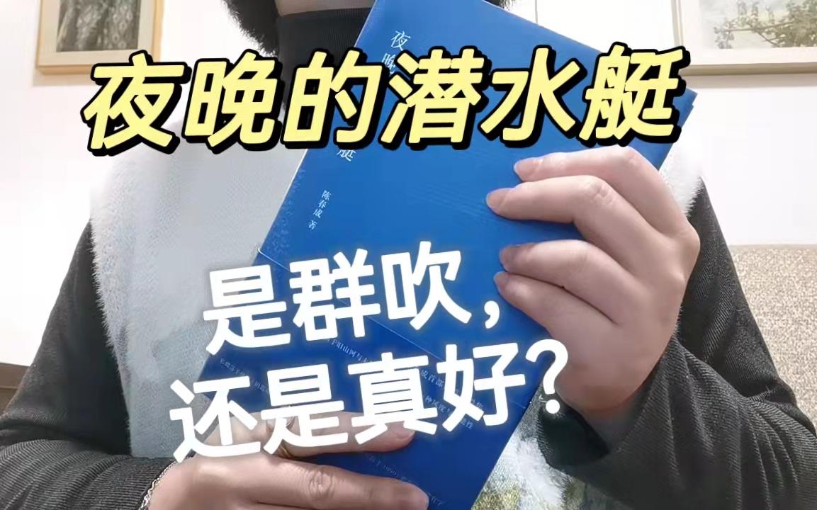 陈春成:是集体的群吹?还是干净的文字? |《夜晚的潜水艇》哔哩哔哩bilibili