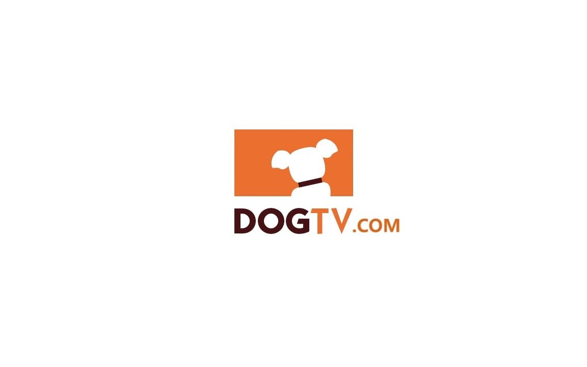 【搬运】狗狗TV 给狗狗看的电视What is this thing flying around?  Playing with dogs [DogTV]哔哩哔哩bilibili