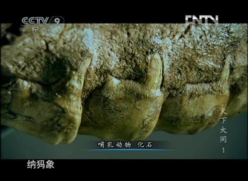 《天下大同》第一集 大同湖畔  CCTV纪录哔哩哔哩bilibili