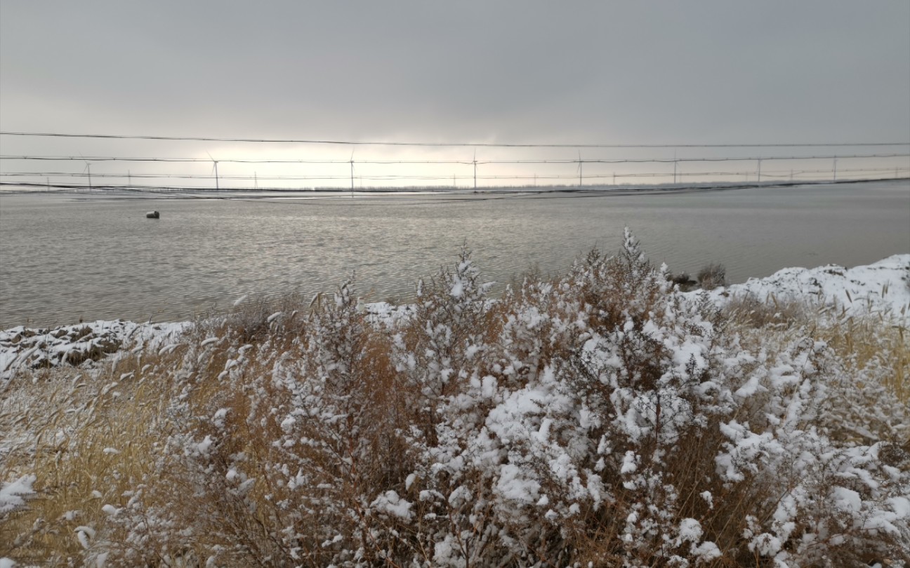 天津大港油田港西新城的大堤雪景