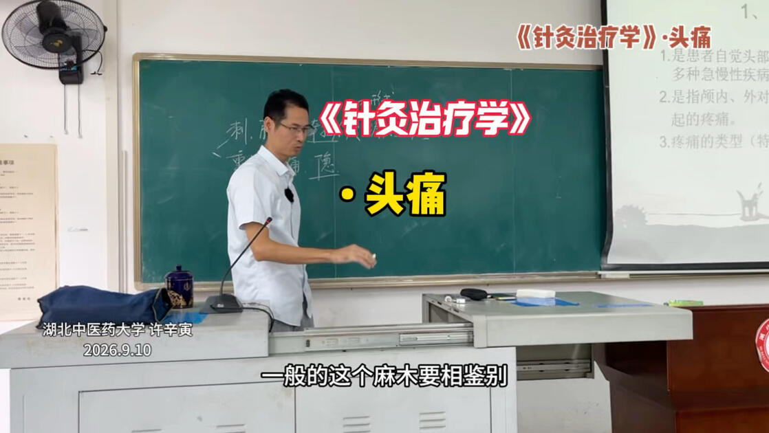 《针灸治疗学》•头痛_哔哩哔哩_bilibili