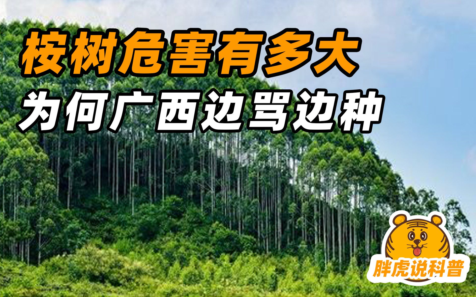 每年创收3000亿,桉树到底是断子绝孙树,还是发财致富树?哔哩哔哩bilibili