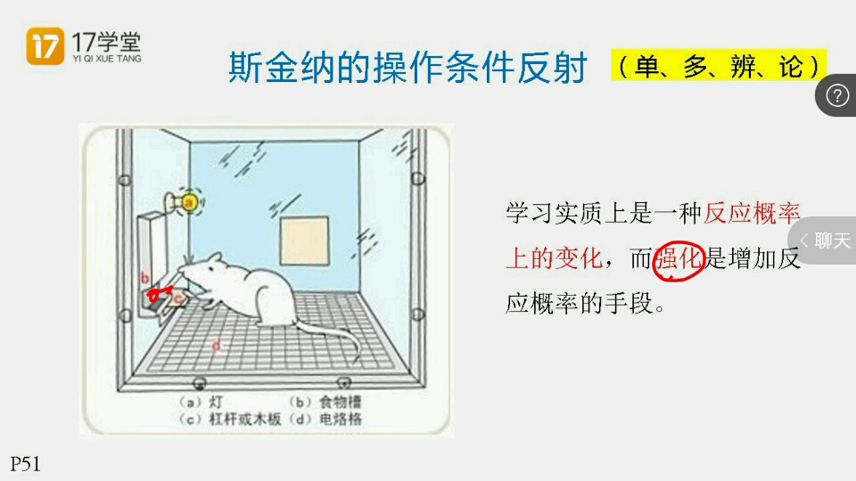 基础精讲【一轮】:心理学9:行为主义学习理论、认知主义学习理论(第三章第二、三节)①哔哩哔哩bilibili