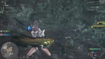 Mhw 捕获巨大种 大黄金鱼 瘴气之谷 哔哩哔哩 Bilibili
