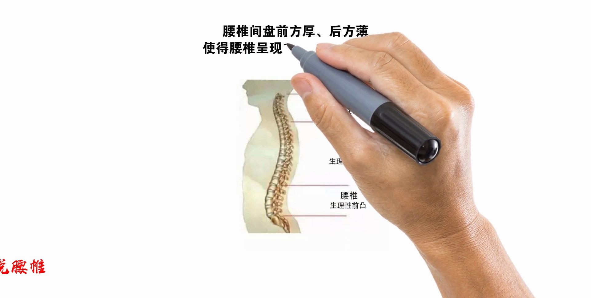 治腰椎间盘突出的药腰椎间盘突出症的自我锻炼方法