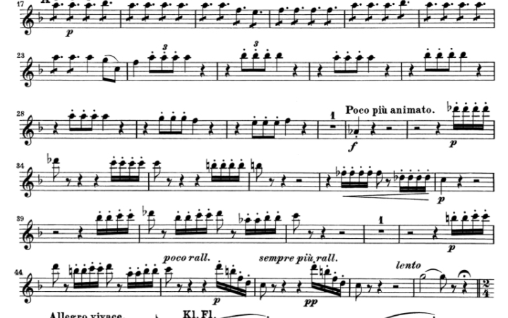 会 长笛短笛视角 nicolai merry wives overture 贝多芬第七交响曲