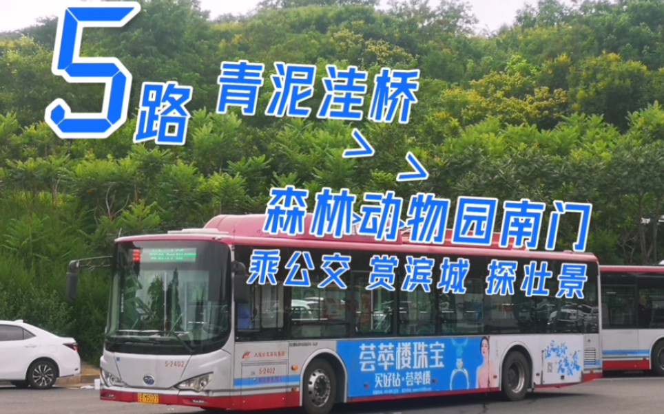 大连公交大连公交5路青泥洼桥森林动物园南门前方展望
