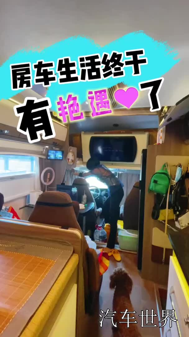 我喜欢上了,一早就喜欢上了,我决定要养它……雅清房车日记露营摘葡萄