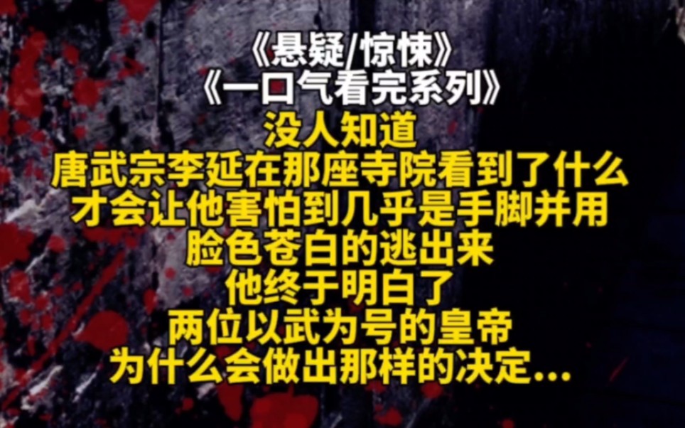 没人知道唐武宗李延在那座寺院看到了什么才会让他害怕到几乎是手脚并用脸色苍白的逃出来他终于明白了两位以武为号的皇帝为什么会做出那样的决定......