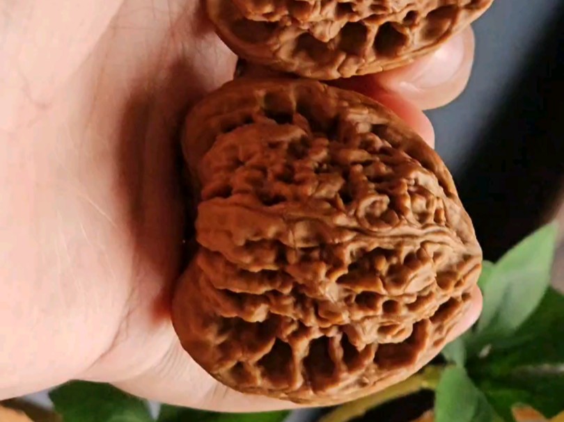 老款涿鹿漏风透光底三角南疆石 经典款!一代老树果 41尺