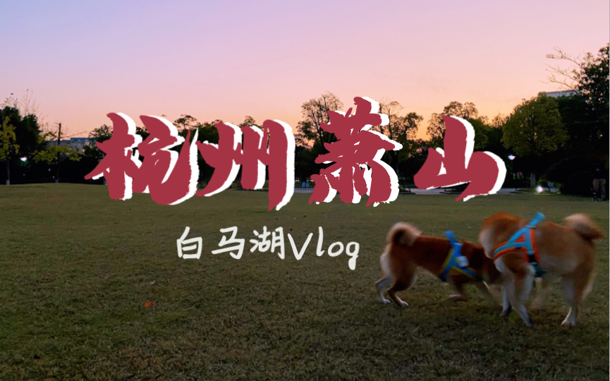 【宠物友好景点】杭州萧山白马湖公园哔哩哔哩bilibili