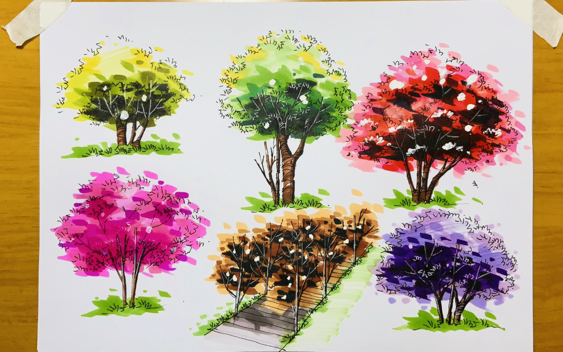 【建筑师设计手绘日记】—建筑配景植物马克笔表现技巧003