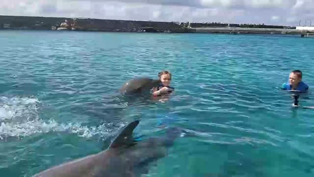 [图]快乐的孩子之海豚篇 kids and dolphin 幼儿英文短片