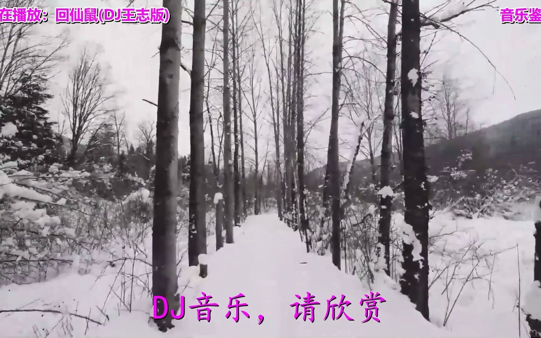 [图]经典音乐，一首《回仙鼠(DJ王志版)》经典老歌，瞬间打动你的心