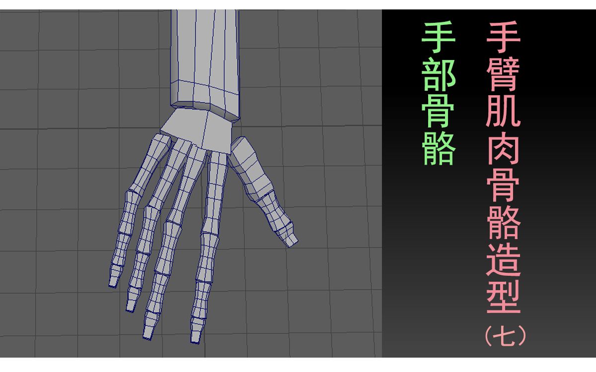 10010606手臂部分手部骨骼(七)哔哩哔哩bilibili