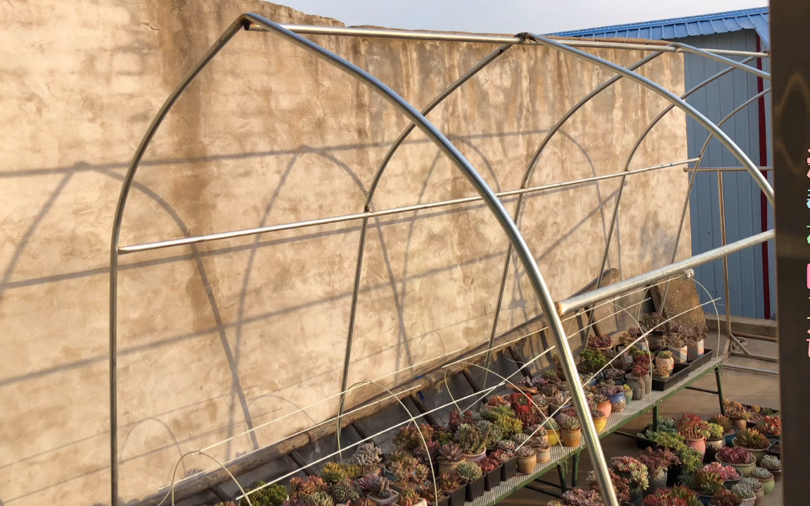 为了养多肉,专门在房顶上焊了大棚,梦想成真了.