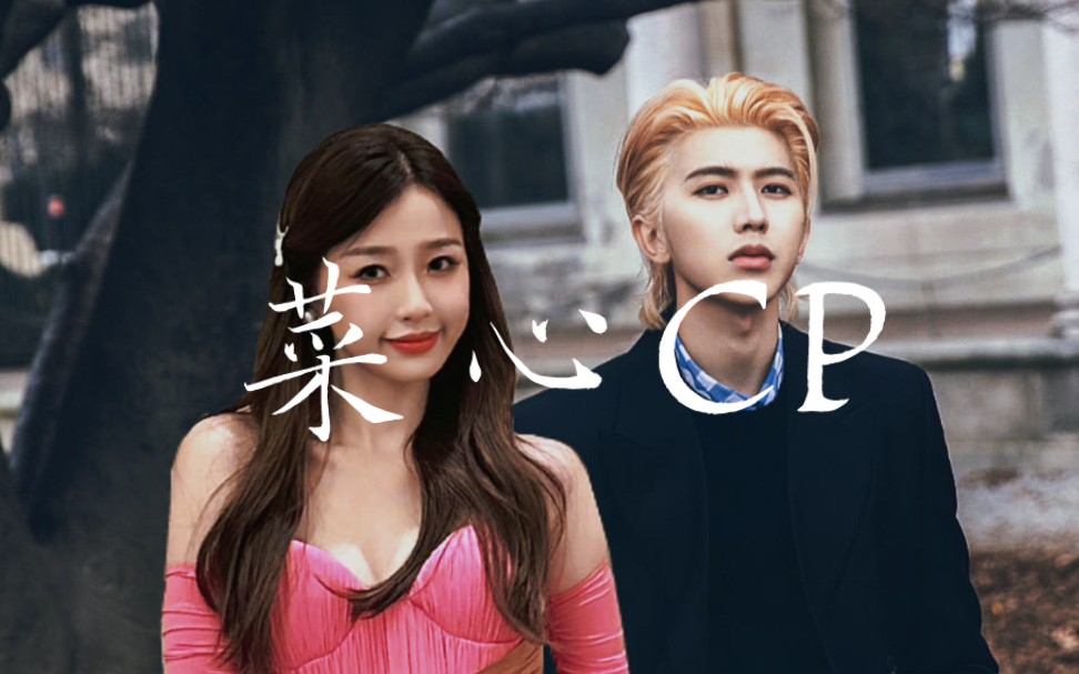 【菜心cp】2023我依然很《想见你》 初心永不会变