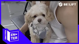 Download Video: [EN-TER key] NI-KI and Bisco's Reunion🐶 - ENHYPEN