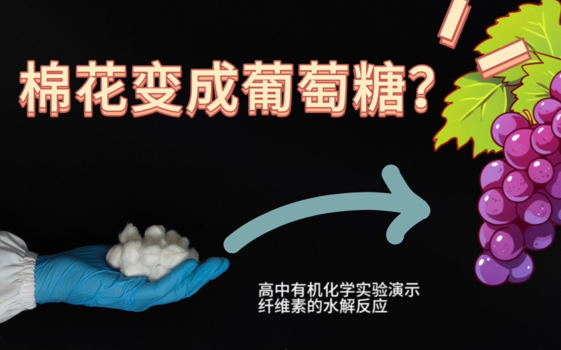 如何让棉花变成葡萄糖?哔哩哔哩bilibili